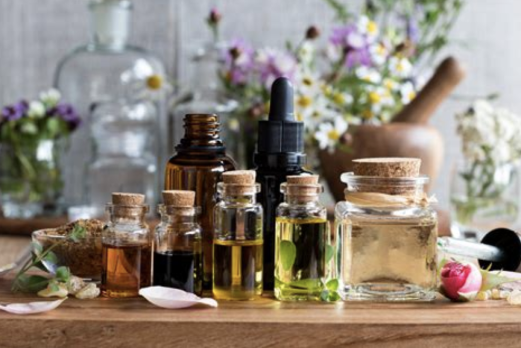 plantes-atelier-immunité
